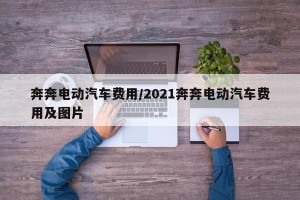 奔奔电动汽车费用/2021奔奔电动汽车费用及图片