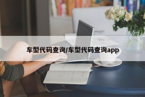 车型代码查询/车型代码查询app
