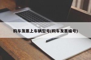购车发票上车辆型号(购车发票编号)