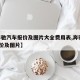 【奔驰汽车报价及图片大全费用表,奔驰300报价及图片】
