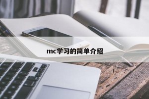 mc学习的简单介绍